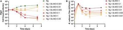 Biotic countermeasures that rescue Nannochloropsis gaditana from a Bacillus safensis infection